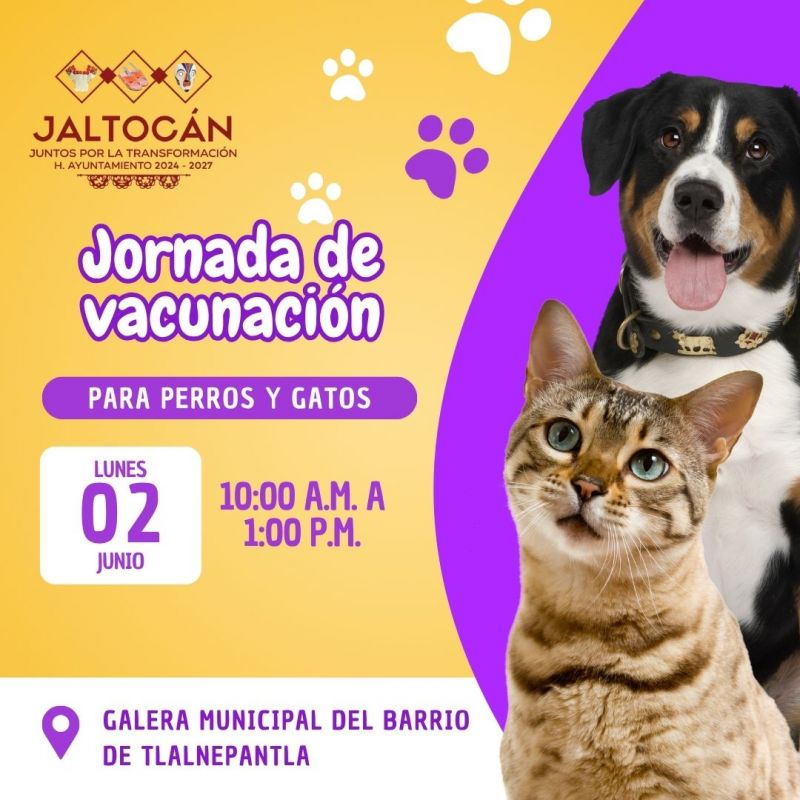 JORNADA DE VACUNACIÓN PARA PERROS Y GATOS